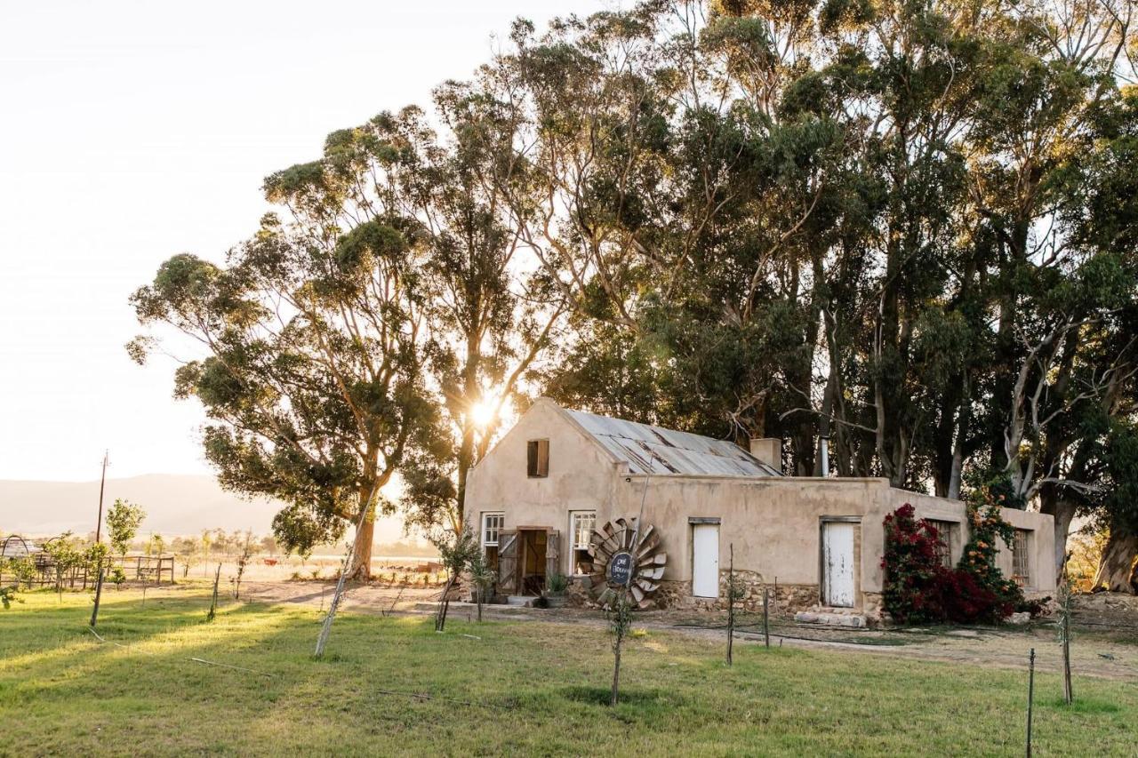 Montpellier De Tulbagh Hotel Exterior photo